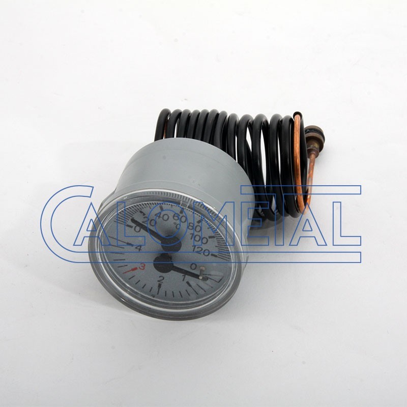 Repuestos calderas roca TERMOHIDROMETRO VEGA