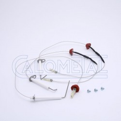 sonda ionizacion y electrodos Laura F