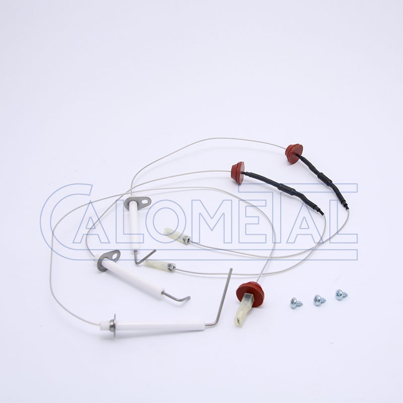 SONDA IONIZACION + ELECTRODOS VICTORIA F (ESTANCA)