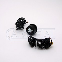 Termohidro caldera roca G 100