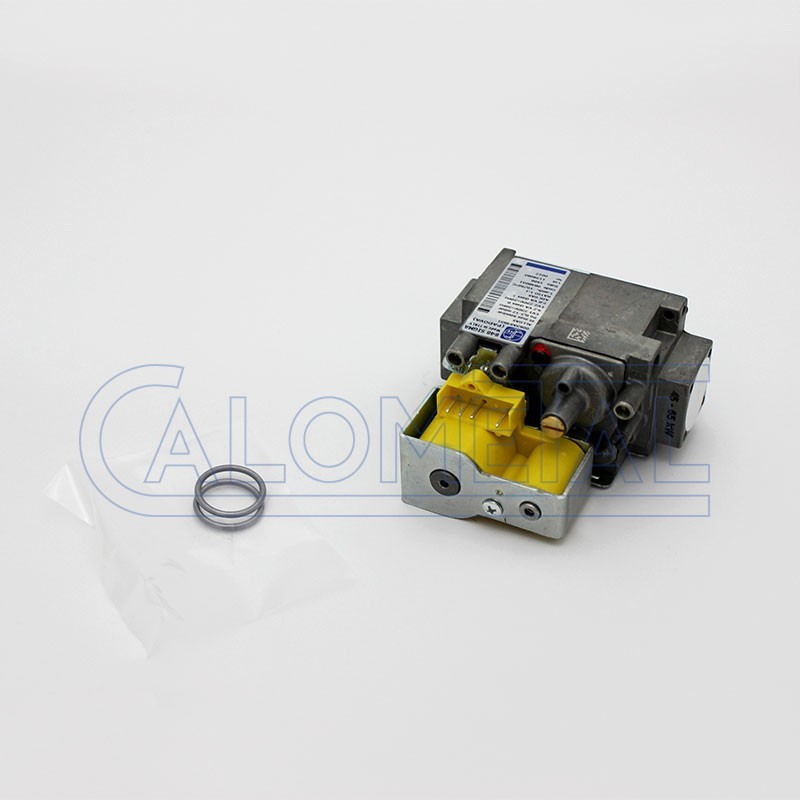 VALVULA GAS (SIGMA 848) BIOS 45-65 F
