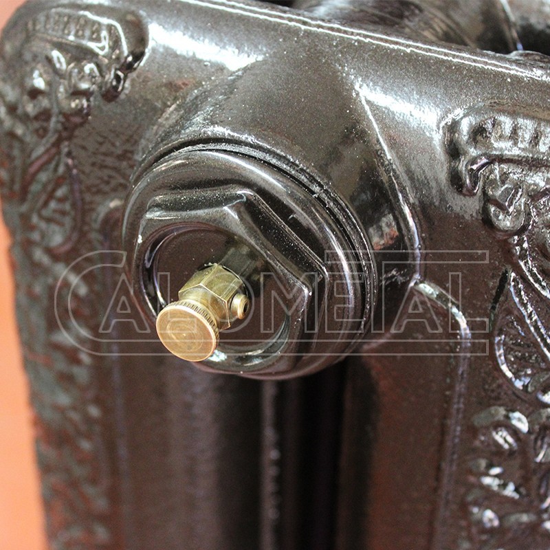 PURGADOR RADIADOR EPOCA