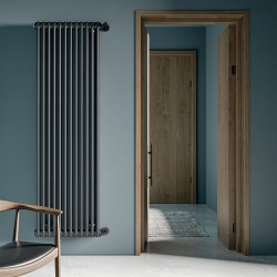 radiador tesi 2 columnas