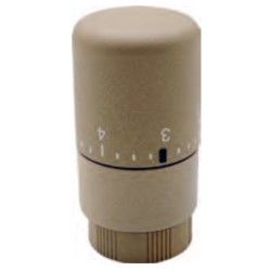 CABEZA TERMOSTATICA IRSAP