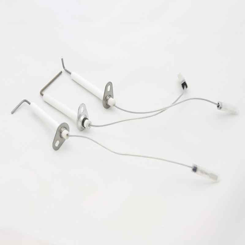 SONDA IONIZACION + ELECTRODOS VICTORIA  (ATMOSFERICA)