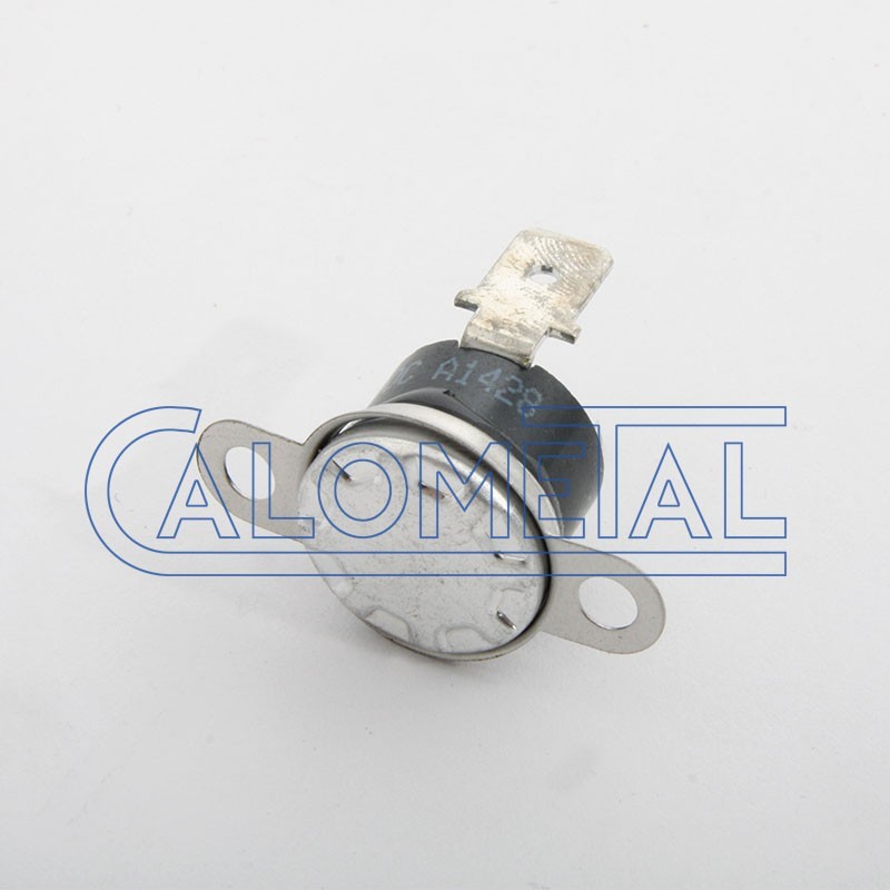 Termostato de seguridad Roca Vega